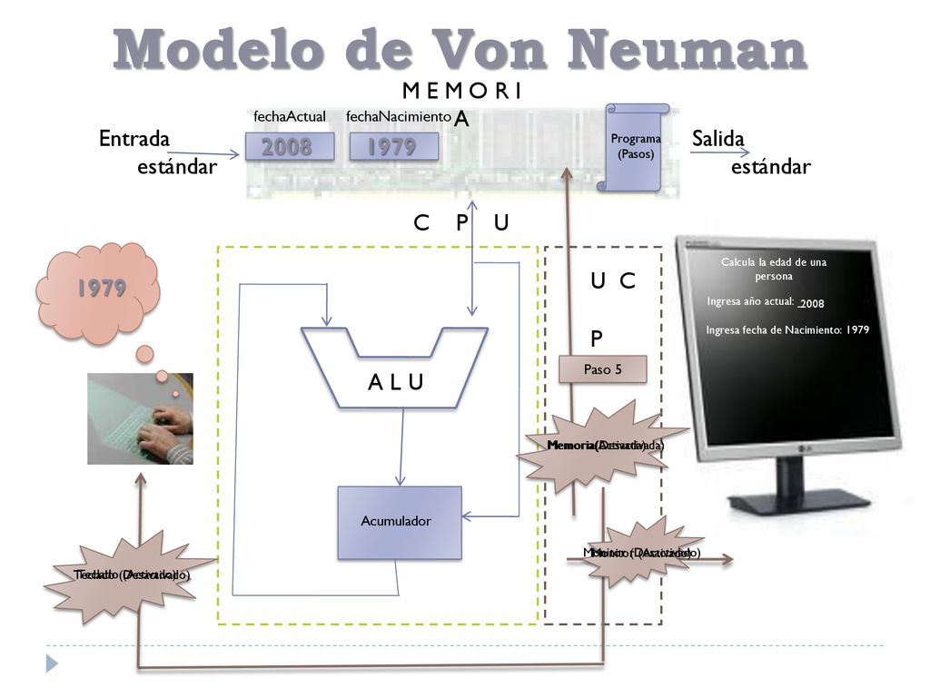 Modelo de Von Neuman M E M O R I A Entrada estándar Datos y Programa