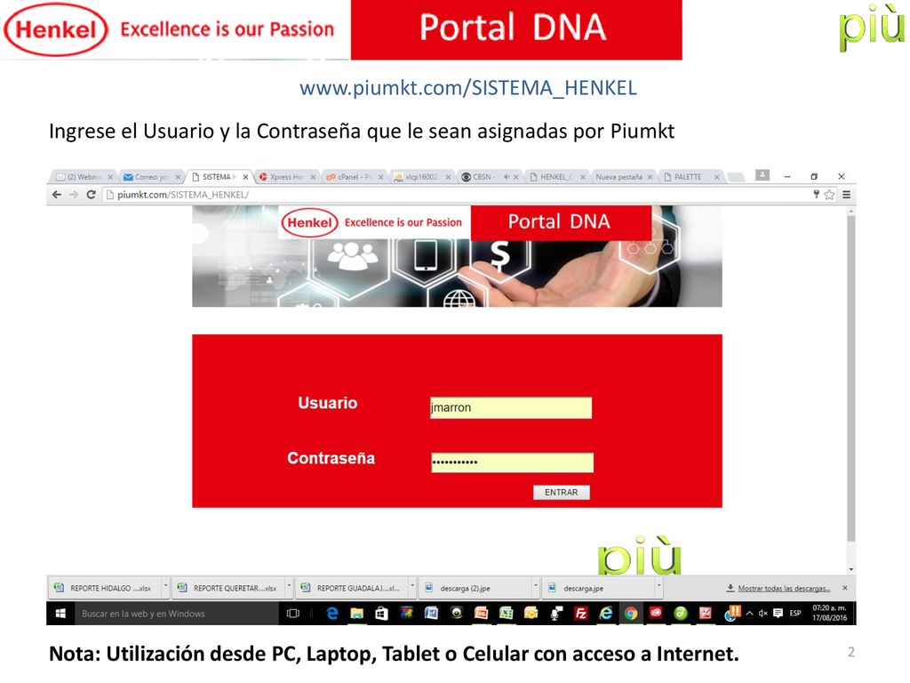 Ingrese el Usuario y la Contraseña que le sean asignadas por Piumkt.