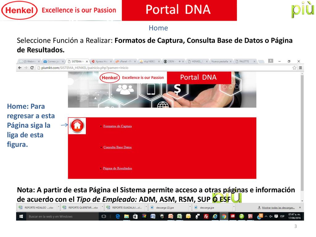 Home Seleccione Función a Realizar: Formatos de Captura, Consulta Base de Datos o Página de Resultados.