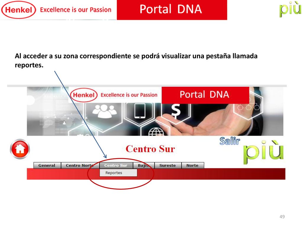 Al acceder a su zona correspondiente se podrá visualizar una pestaña llamada reportes.