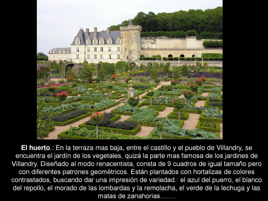 El huerto.: En la terraza mas baja, entre el castillo y el pueblo de Villandry, se encuentra el jardín de los vegetales, quizá la parte mas famosa de los jardines de Villandry.