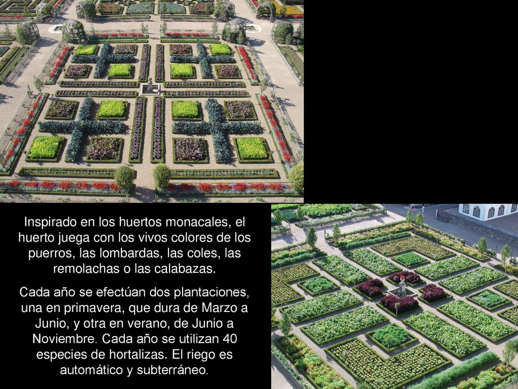 Inspirado en los huertos monacales, el huerto juega con los vivos colores de los puerros, las lombardas, las coles, las remolachas o las calabazas.