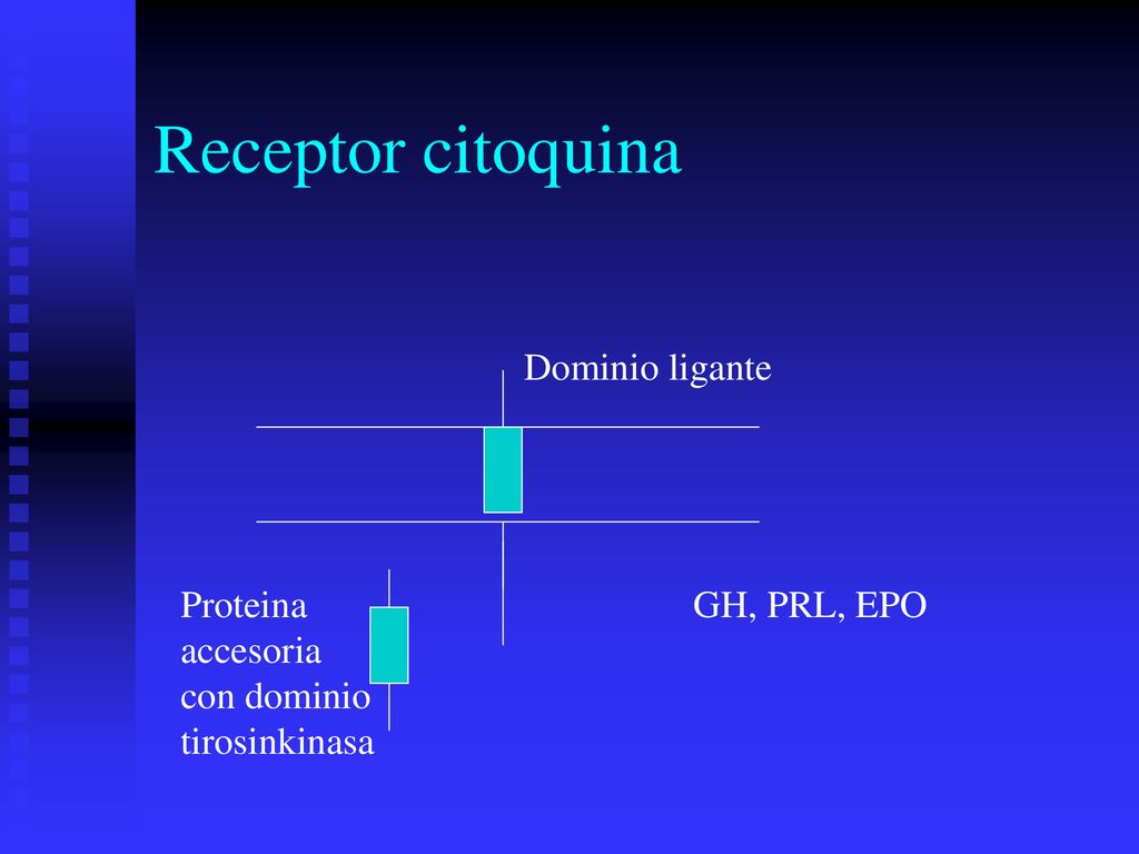 Receptor citoquina Dominio ligante Proteina accesoria con dominio