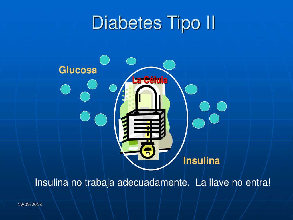 Diabetes Tipo II Glucosa La Célula Insulina