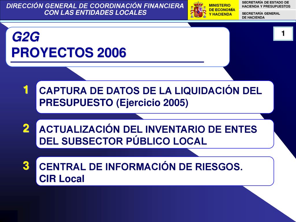 G2G PROYECTOS CAPTURA DE DATOS DE LA LIQUIDACIÓN DEL PRESUPUESTO (Ejercicio 2005)