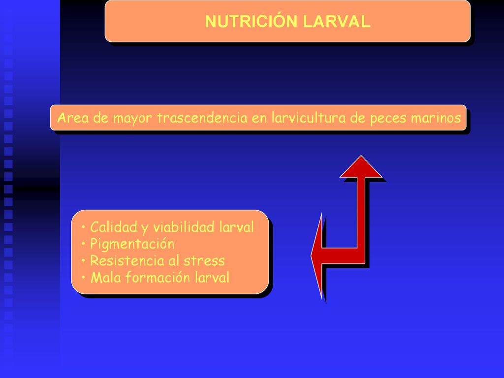 NUTRICIÓN LARVAL Area de mayor trascendencia en larvicultura de peces marinos. Calidad y viabilidad larval.