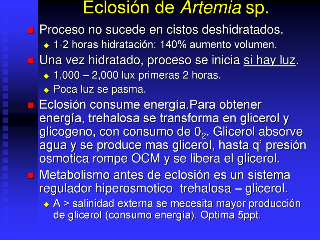Eclosión de Artemia sp. Proceso no sucede en cistos deshidratados.