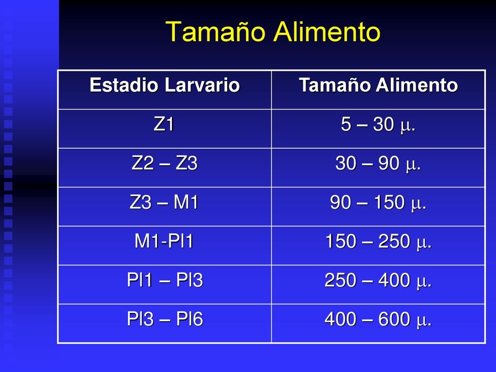 Tamaño Alimento Estadio Larvario Tamaño Alimento Z1 5 – 30 m. Z2 – Z3