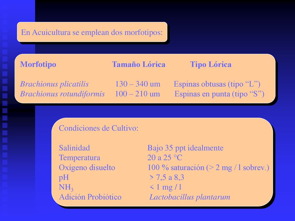En Acuicultura se emplean dos morfotipos:
