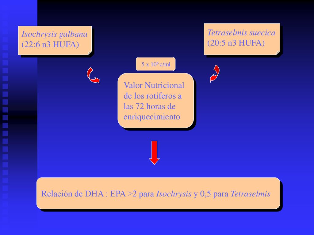 Relación de DHA : EPA >2 para Isochrysis y 0,5 para Tetraselmis