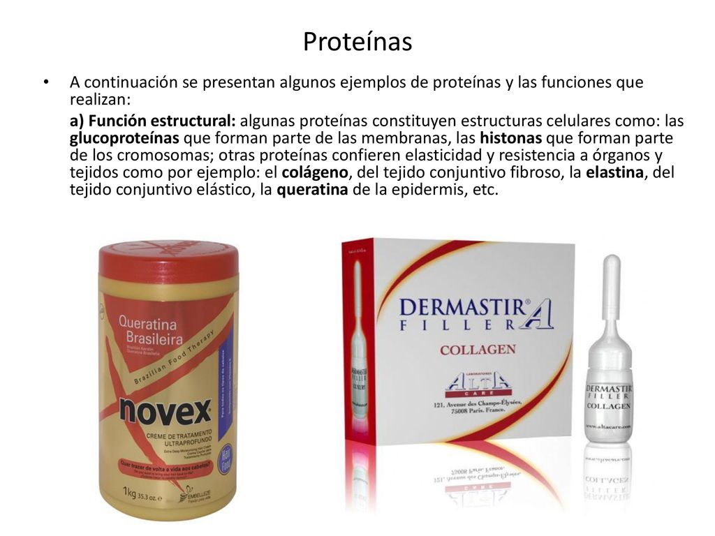 Proteínas A continuación se presentan algunos ejemplos de proteínas y las funciones que realizan: