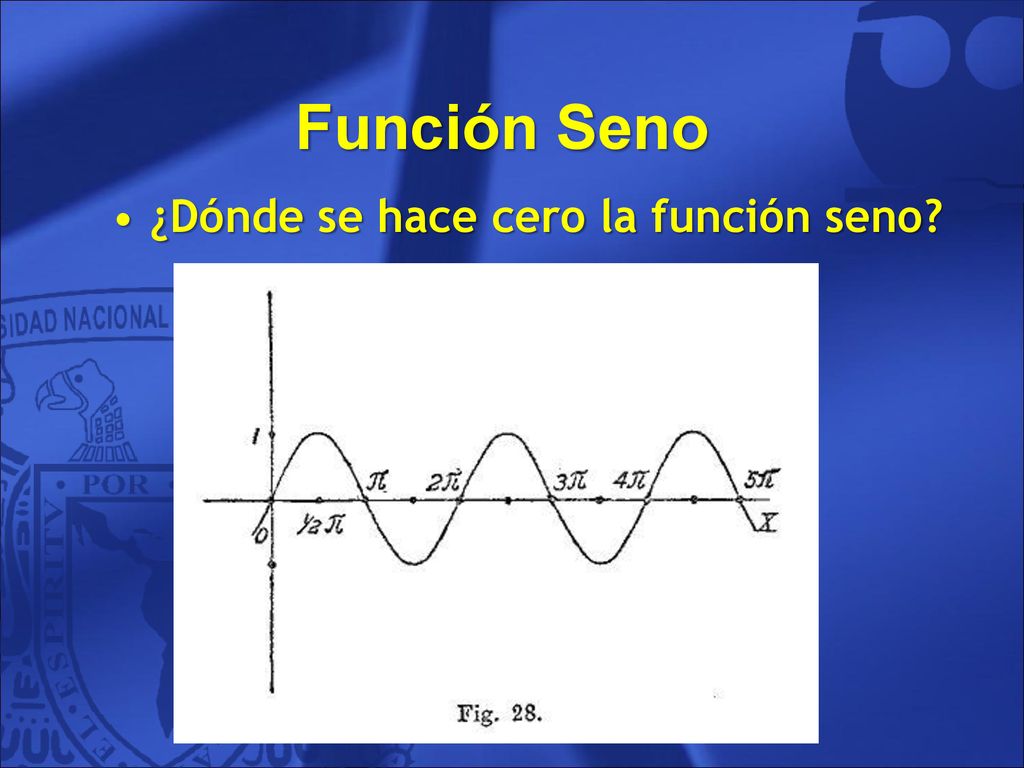 Función Seno ¿Dónde se hace cero la función seno 55