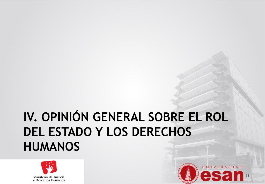 IV. OPINIÓN GENERAL SOBRE EL ROL DEL ESTADO Y LOS DERECHOS HUMANOS