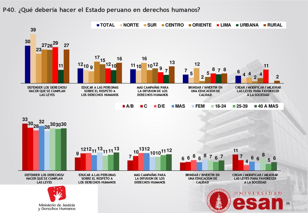 P40. ¿Qué debería hacer el Estado peruano en derechos humanos