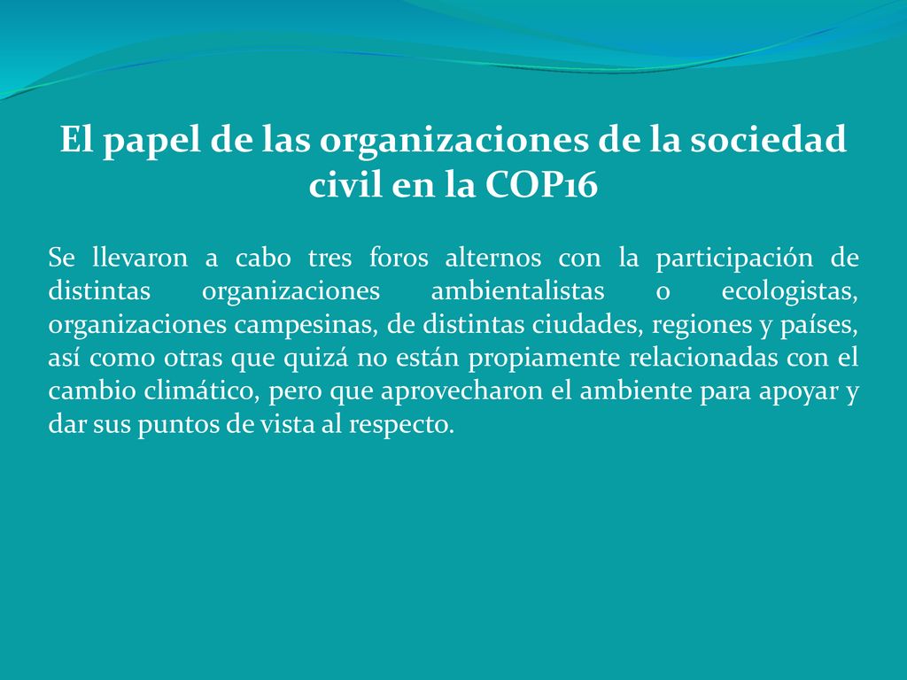 El papel de las organizaciones de la sociedad civil en la COP16