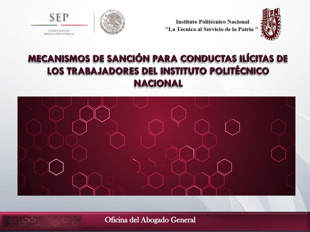 MECANISMOS DE SANCIÓN PARA CONDUCTAS ILÍCITAS DE LOS TRABAJADORES DEL INSTITUTO POLITÉCNICO NACIONAL