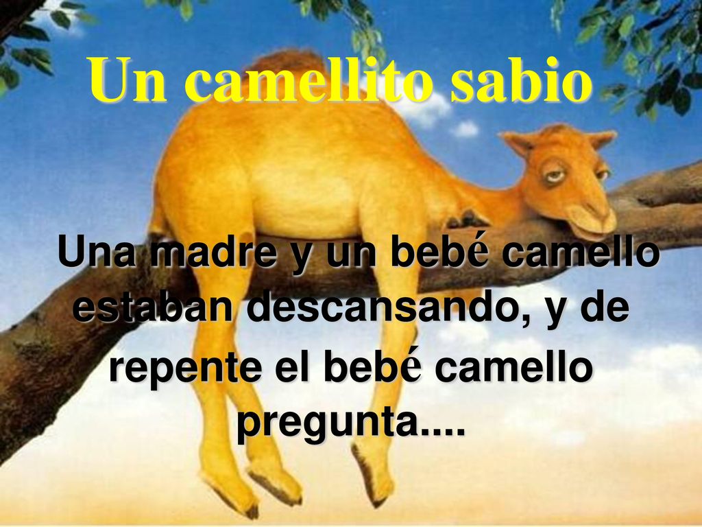 Un camellito sabio Una madre y un bebé camello estaban descansando, y de repente el bebé camello pregunta....