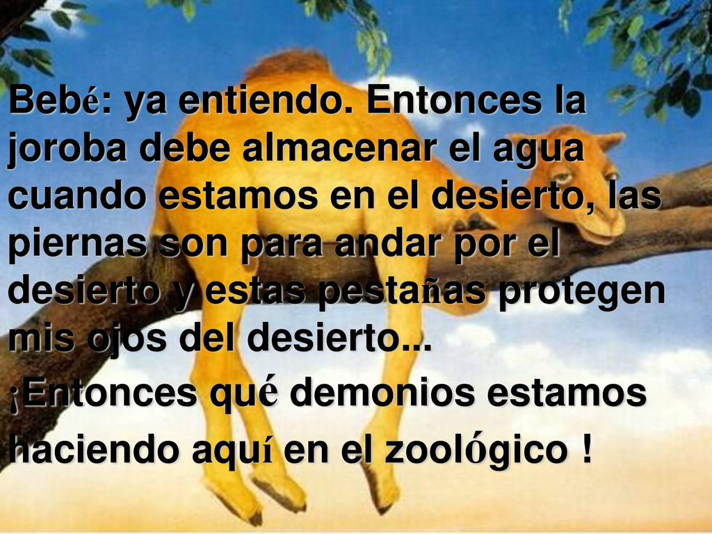 Bebé: ya entiendo. Entonces la joroba debe almacenar el agua cuando estamos en el desierto, las piernas son para andar por el desierto y estas pestañas protegen mis ojos del desierto...