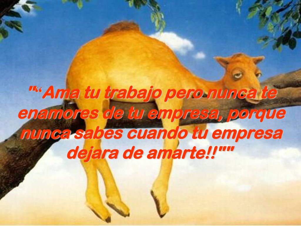 Ama tu trabajo pero nunca te enamores de tu empresa, porque nunca sabes cuando tu empresa dejara de amarte!!