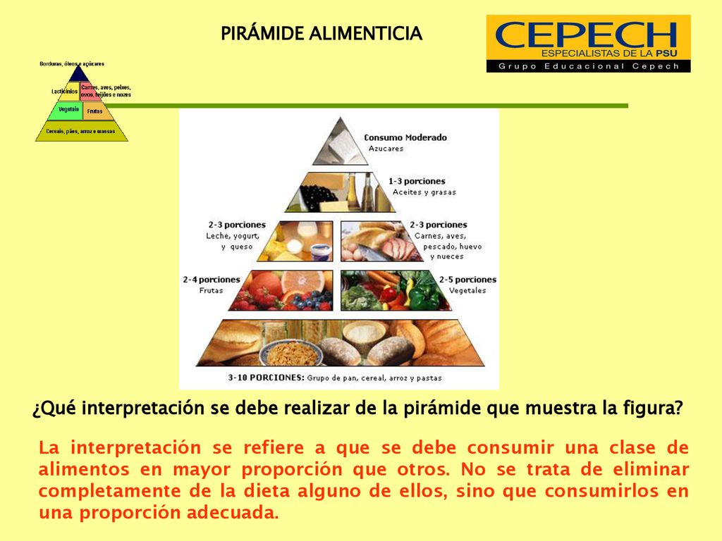 PIRÁMIDE ALIMENTICIA ¿Qué interpretación se debe realizar de la pirámide que muestra la figura