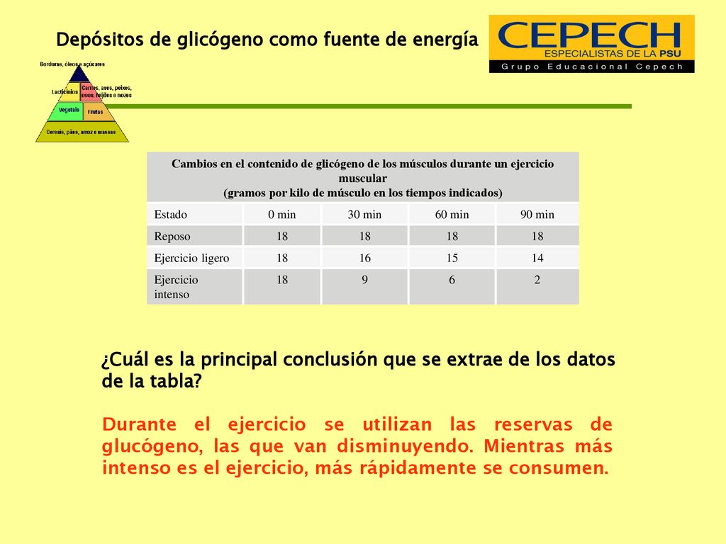 (gramos por kilo de músculo en los tiempos indicados)