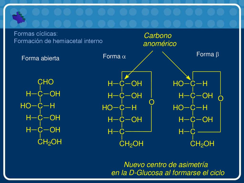 Formas cíclicas: Formación de hemiacetal interno Forma b Forma a Forma abierta