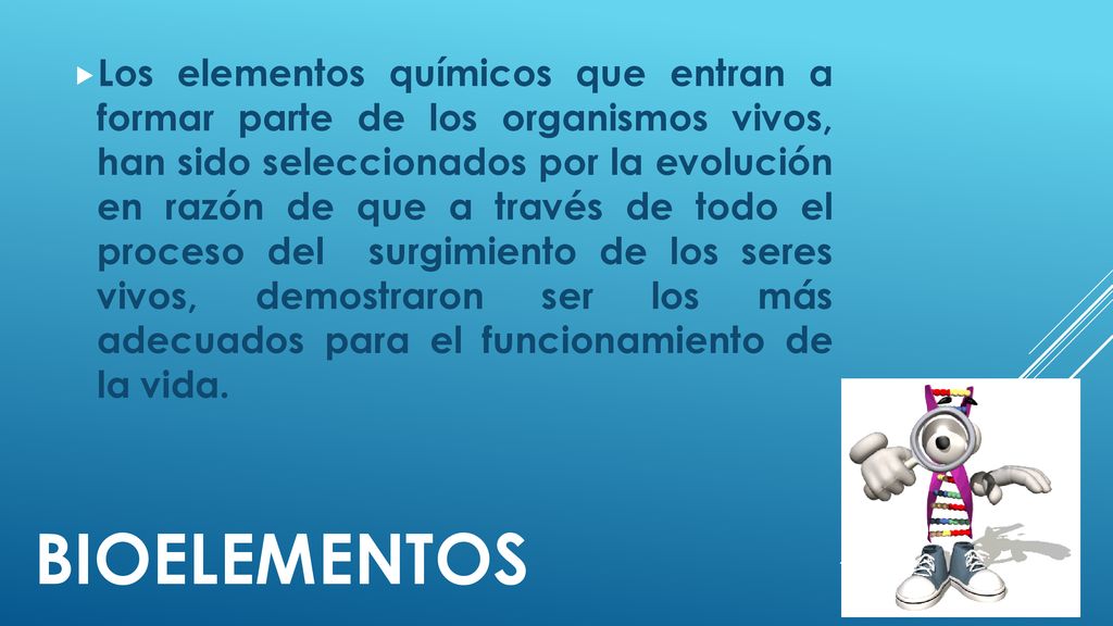 Los elementos químicos que entran a formar parte de los organismos vivos, han sido seleccionados por la evolución en razón de que a través de todo el proceso del surgimiento de los seres vivos, demostraron ser los más adecuados para el funcionamiento de la vida.