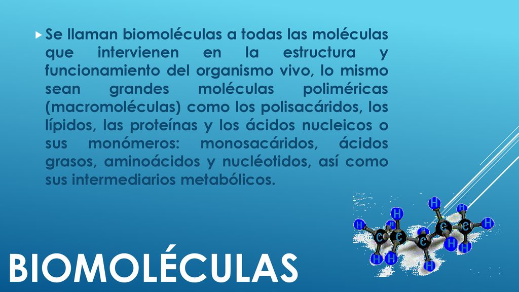 Se llaman biomoléculas a todas las moléculas que intervienen en la estructura y funcionamiento del organismo vivo, lo mismo sean grandes moléculas poliméricas (macromoléculas) como los polisacáridos, los lípidos, las proteínas y los ácidos nucleicos o sus monómeros: monosacáridos, ácidos grasos, aminoácidos y nucléotidos, así como sus intermediarios metabólicos.