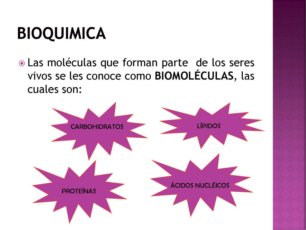 BIOQUIMICA Las moléculas que forman parte de los seres vivos se les conoce como BIOMOLÉCULAS, las cuales son: