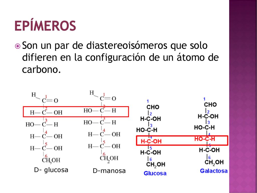 EPÍMEROS Son un par de diastereoisómeros que solo difieren en la configuración de un átomo de carbono.