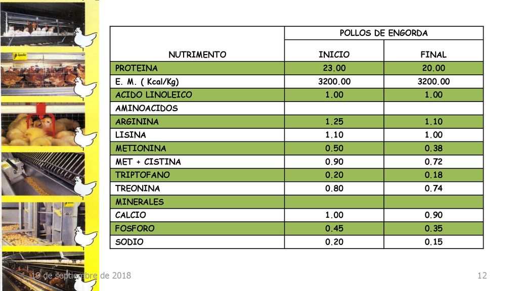 19 de septiembre de 2018 NUTRIMENTO POLLOS DE ENGORDA INICIO FINAL
