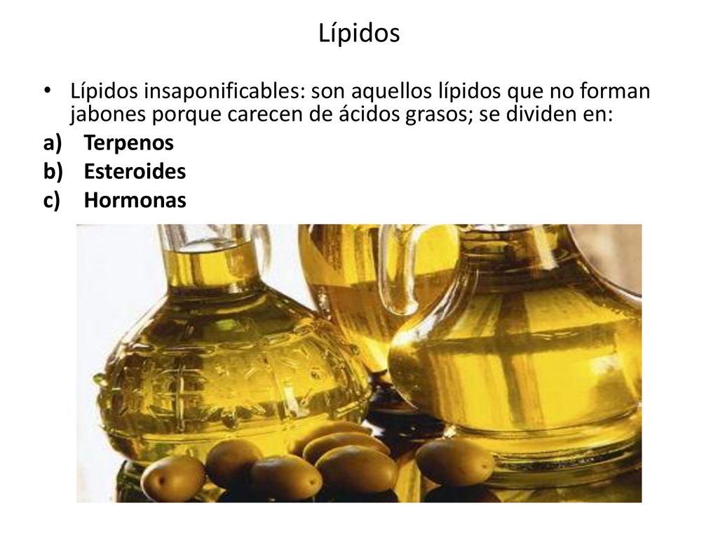 Lípidos Lípidos insaponificables: son aquellos lípidos que no forman jabones porque carecen de ácidos grasos; se dividen en: