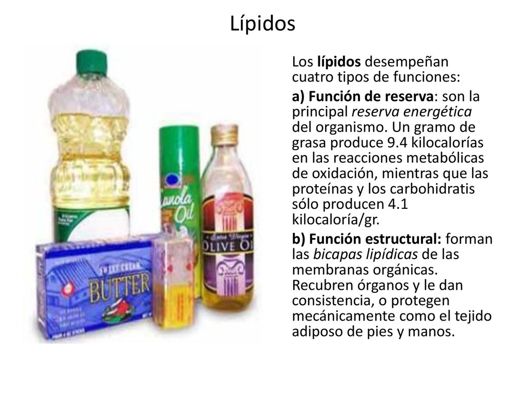 Lípidos Los lípidos desempeñan cuatro tipos de funciones: