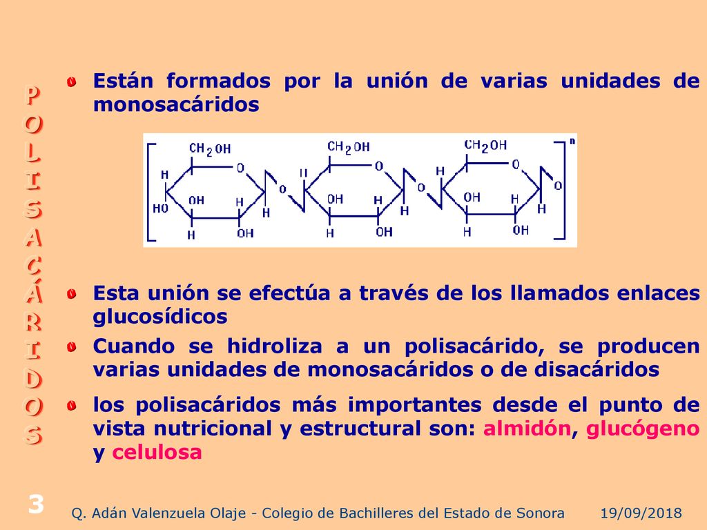 Q. Adán Valenzuela Olaje - Colegio de Bachilleres del Estado de Sonora
