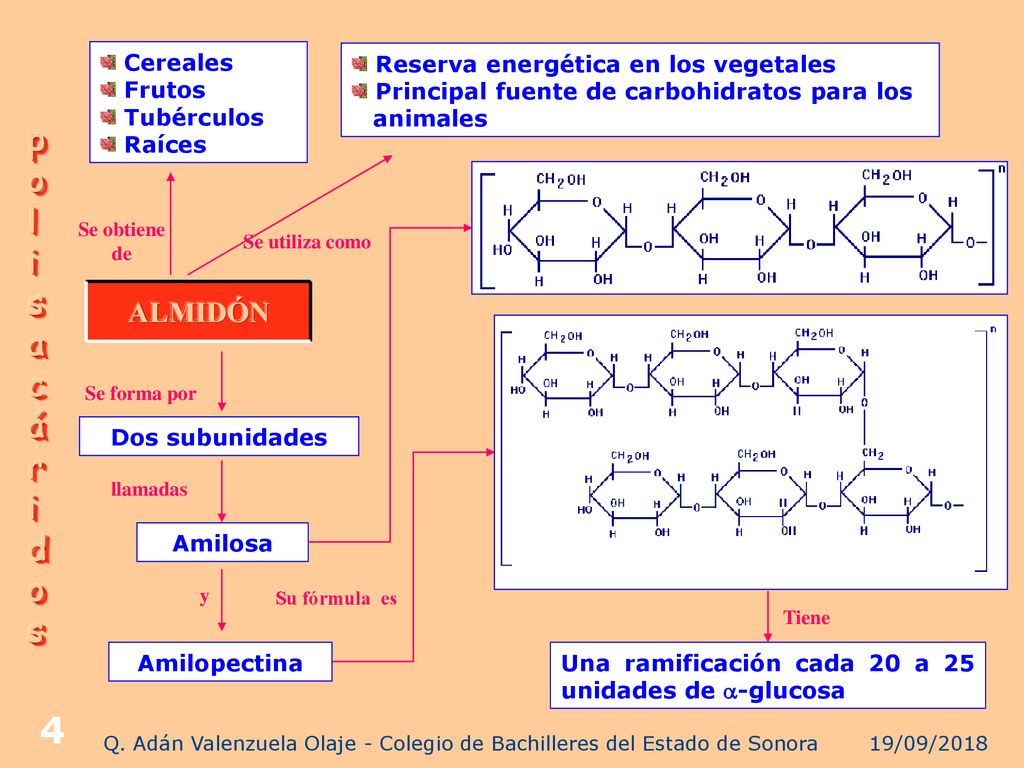 Q. Adán Valenzuela Olaje - Colegio de Bachilleres del Estado de Sonora