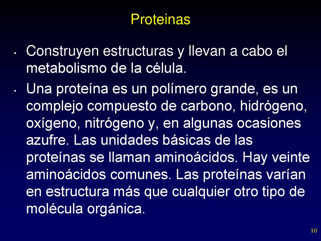 Proteinas Construyen estructuras y llevan a cabo el metabolismo de la célula.