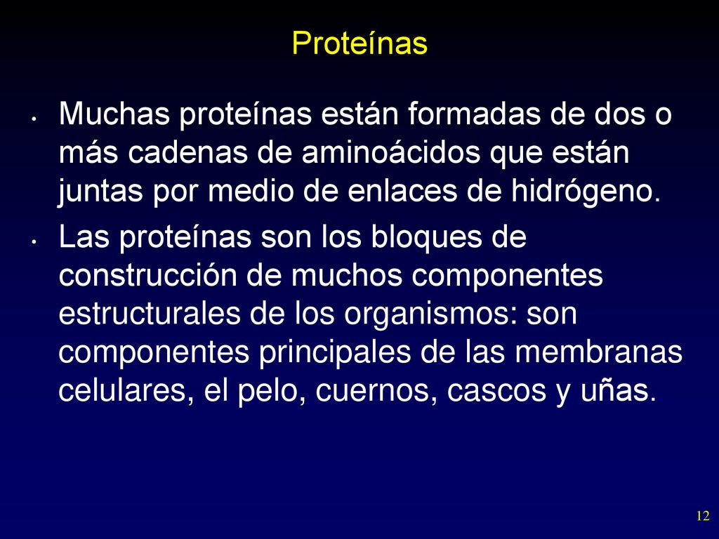 Proteínas Muchas proteínas están formadas de dos o más cadenas de aminoácidos que están juntas por medio de enlaces de hidrógeno.
