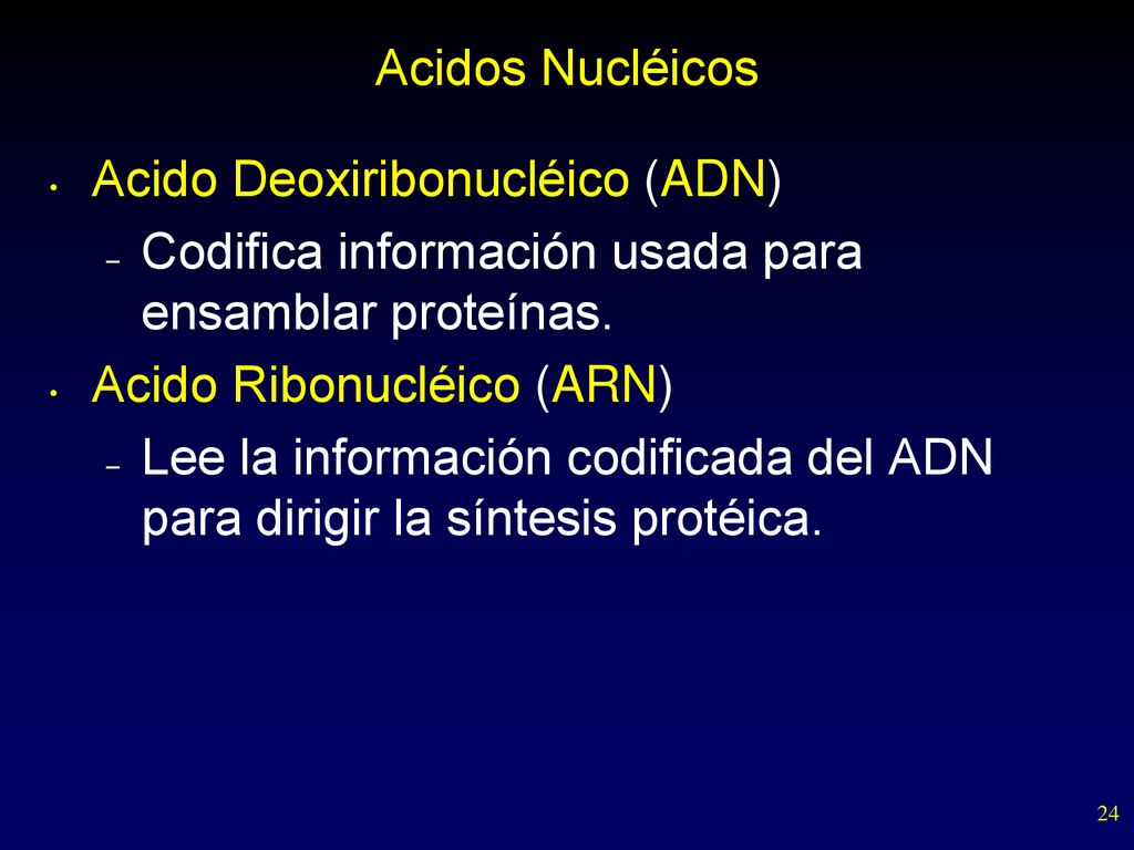 Acidos Nucléicos Acido Deoxiribonucléico (ADN) Codifica información usada para ensamblar proteínas.