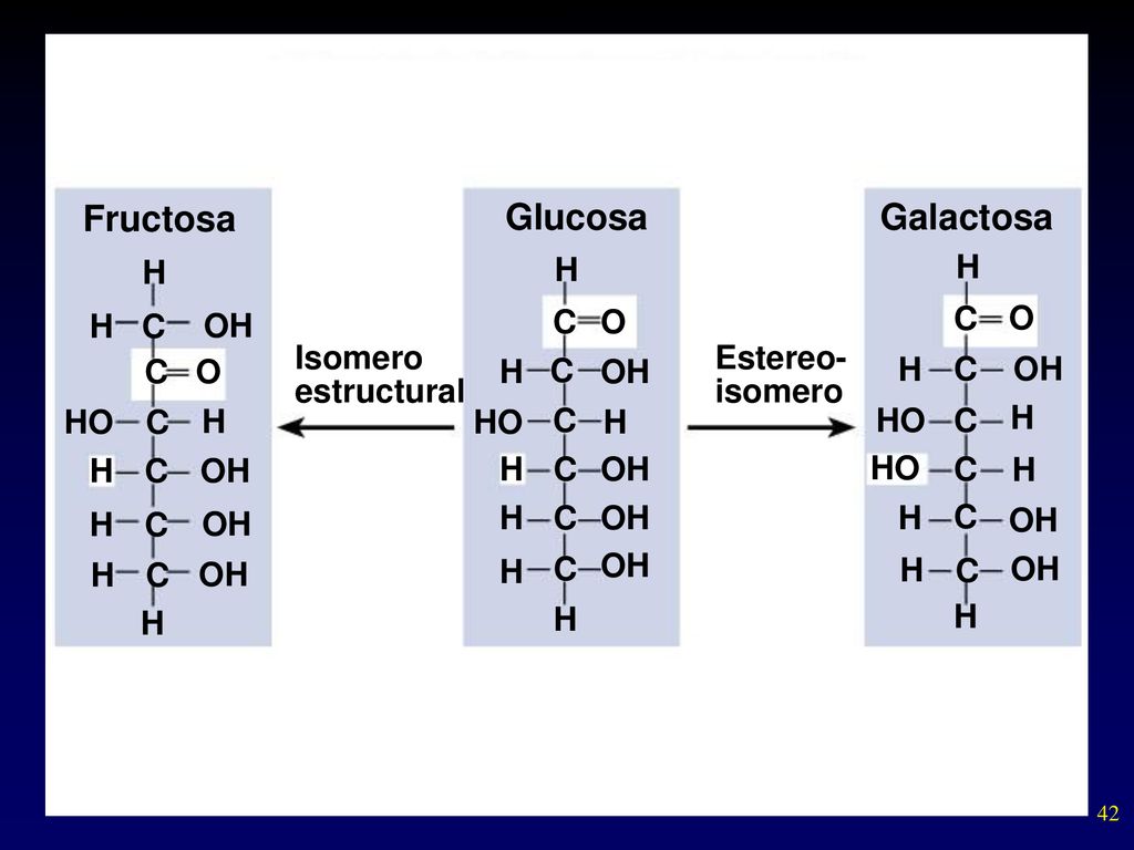 Fructosa Glucosa Galactosa H H H C O C O H C OH Isomero estructural