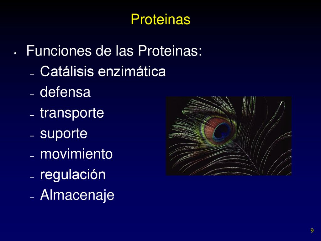 Proteinas Funciones de las Proteinas: Catálisis enzimática. defensa. transporte. suporte. movimiento.
