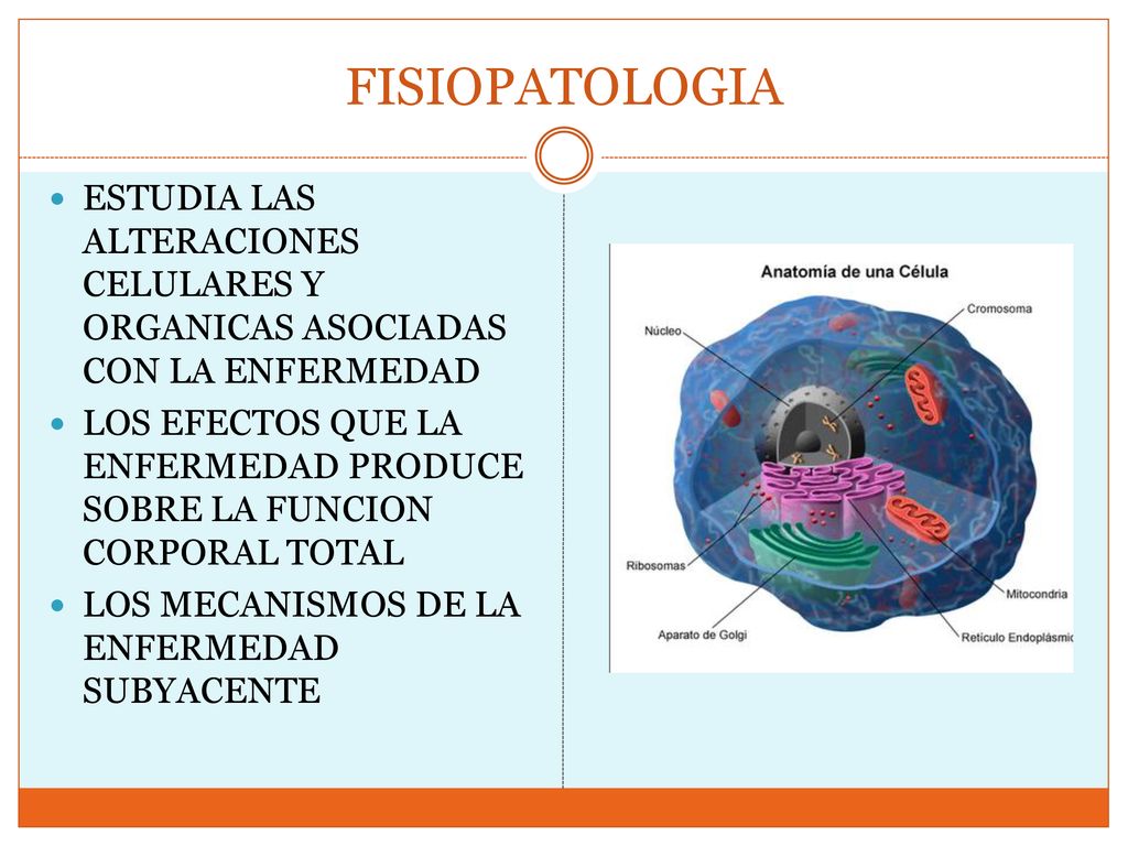 FISIOPATOLOGIA ESTUDIA LAS ALTERACIONES CELULARES Y ORGANICAS ASOCIADAS CON LA ENFERMEDAD.