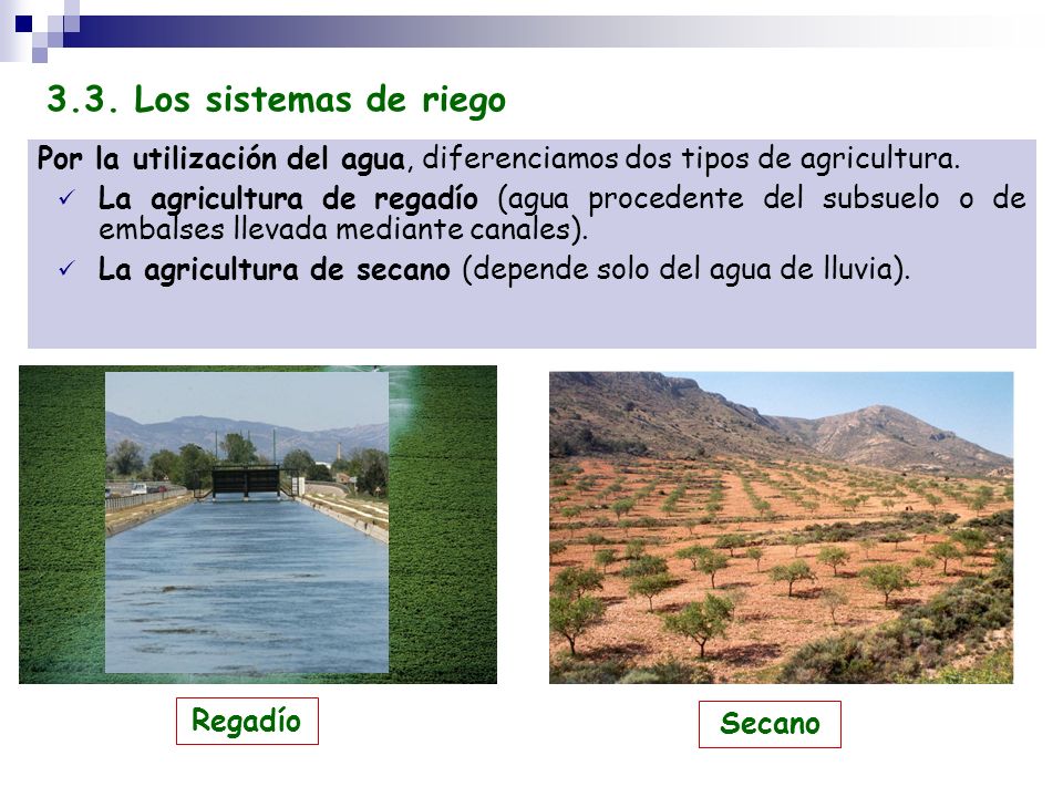 3.3. Los sistemas de riego Por la utilización del agua, diferenciamos dos tipos de agricultura.