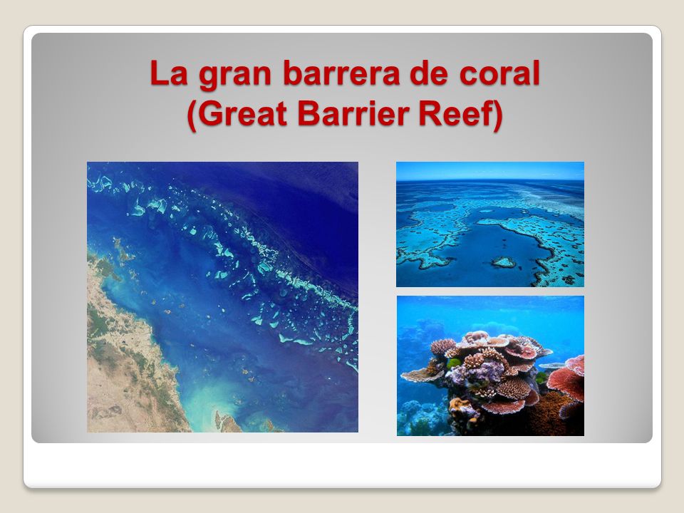 La gran barrera de coral (Great Barrier Reef)