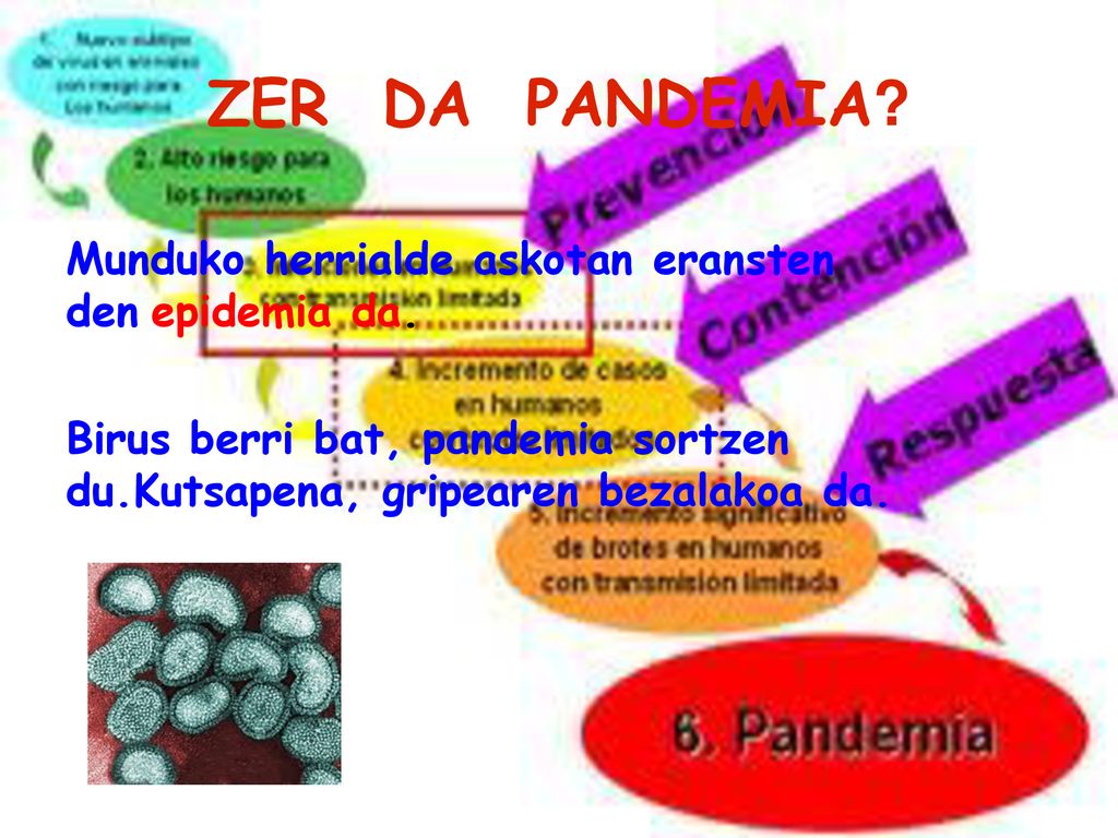 ZER DA PANDEMIA Munduko herrialde askotan eransten den epidemia da.