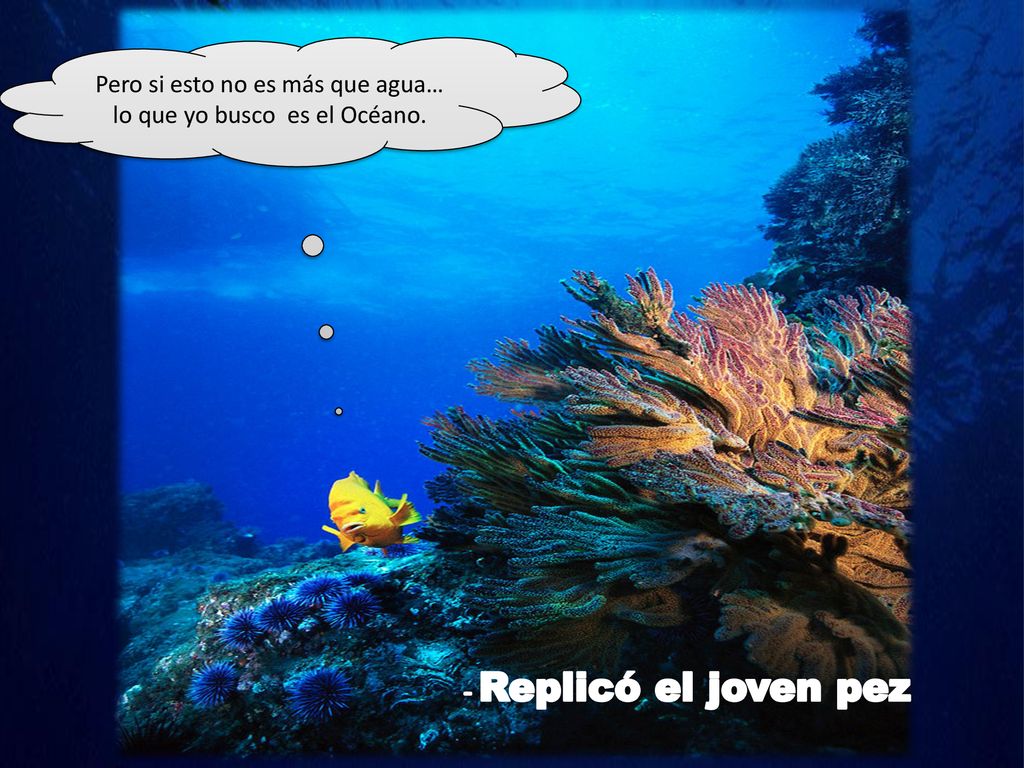 - Replicó el joven pez Pero si esto no es más que agua…