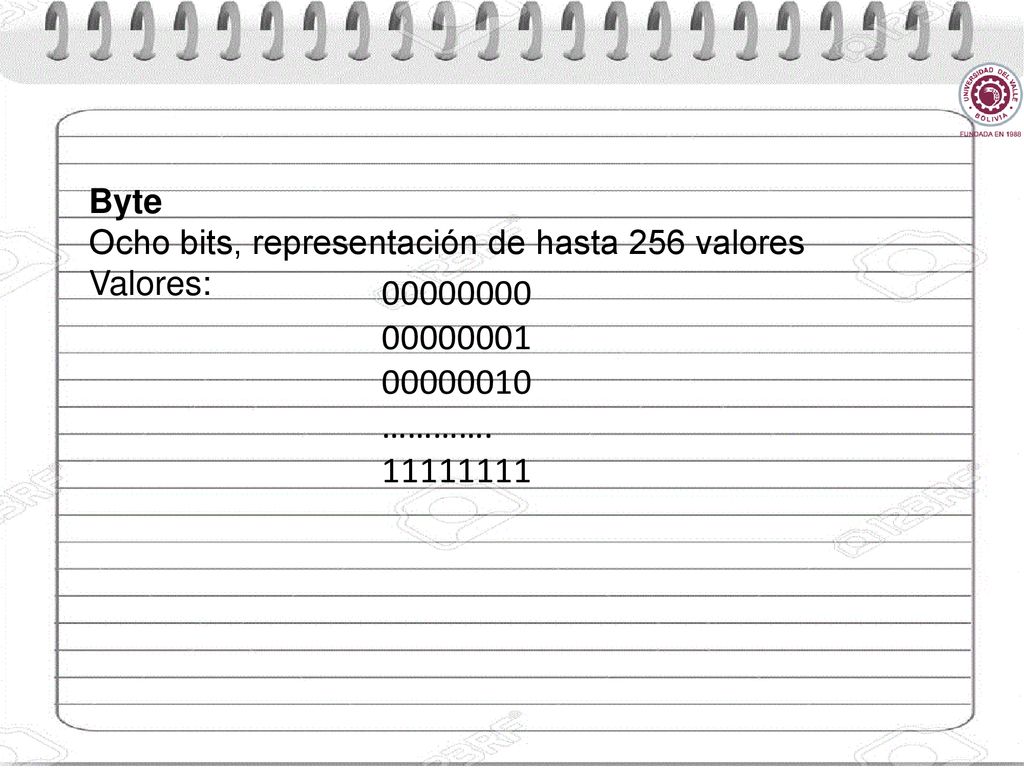 Byte Ocho bits, representación de hasta 256 valores. Valores: ………….