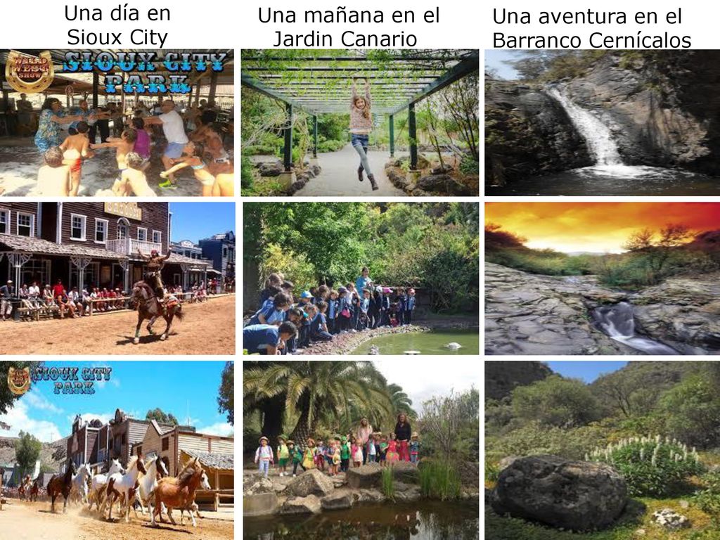 Una día en Sioux City Una mañana en el Jardin Canario Una aventura en el Barranco Cernícalos