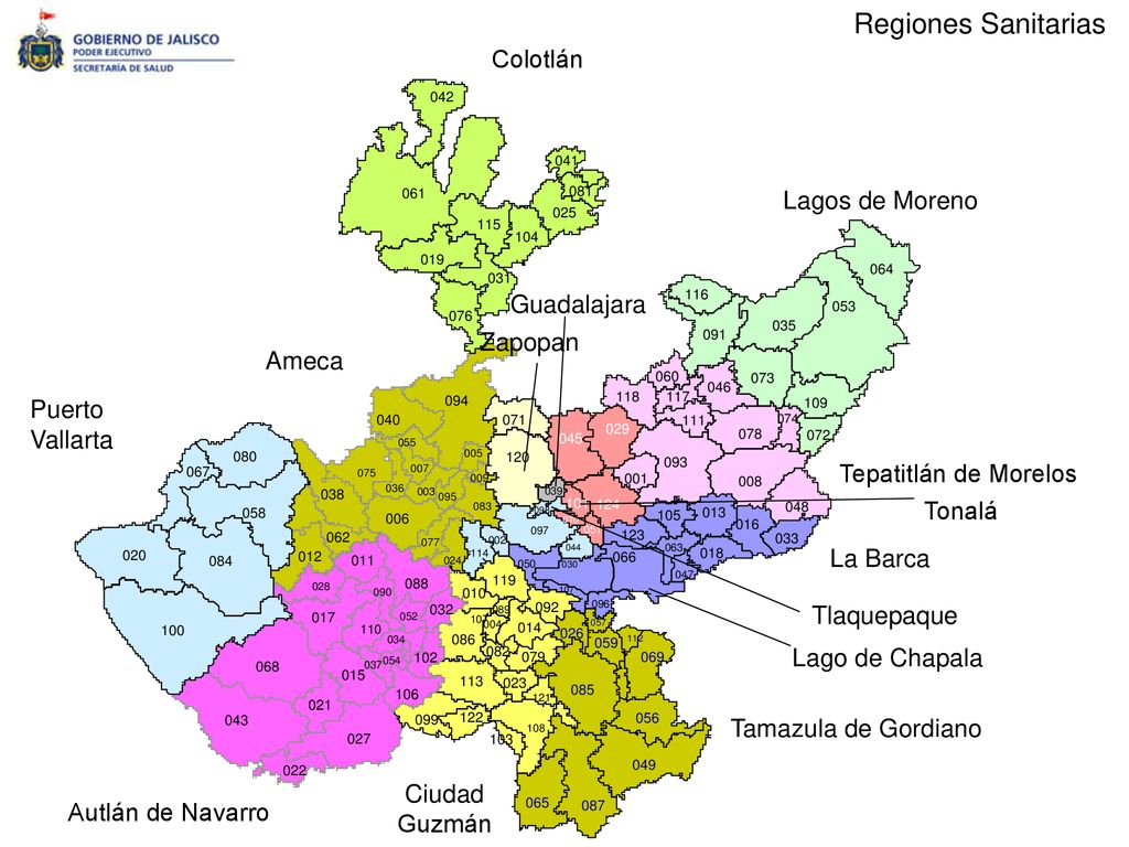 Regiones Sanitarias Colotlán Lagos de Moreno Guadalajara Zapopan Ameca