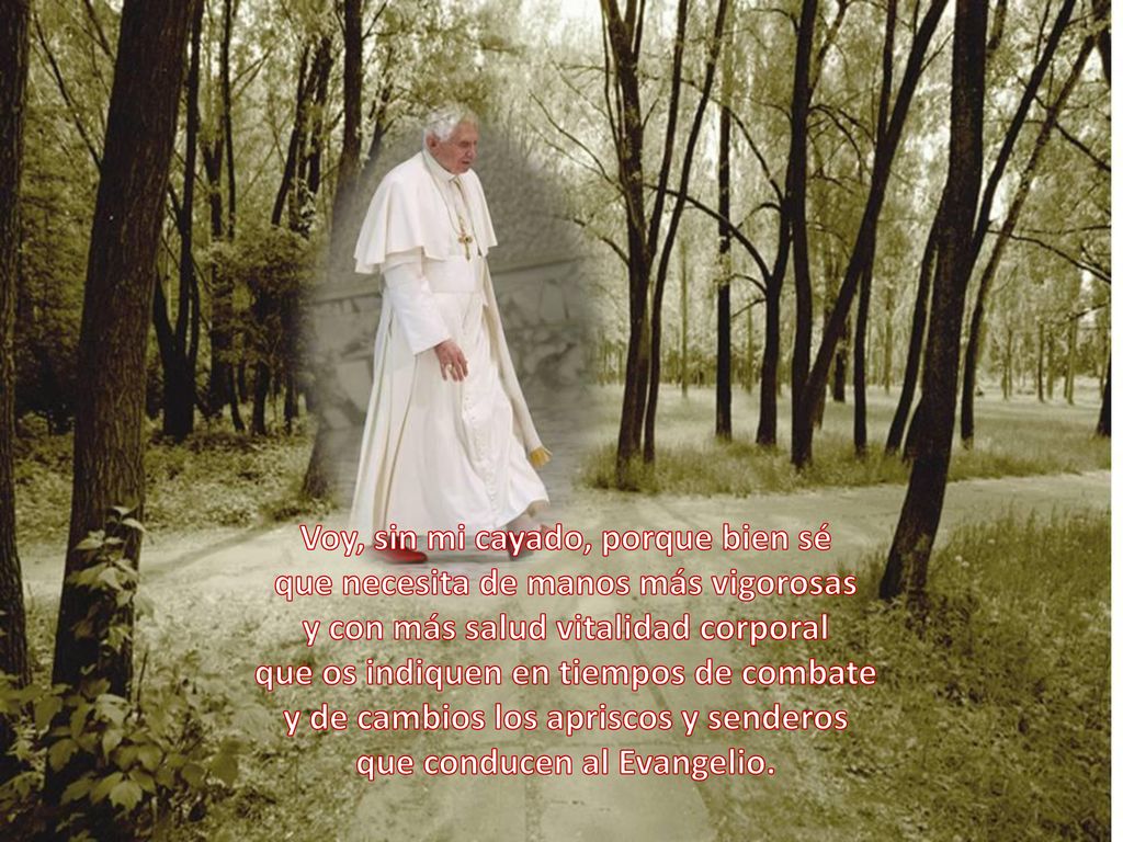 Voy, sin mi cayado, porque bien sé que necesita de manos más vigorosas y con más salud vitalidad corporal que os indiquen en tiempos de combate y de cambios los apriscos y senderos que conducen al Evangelio.