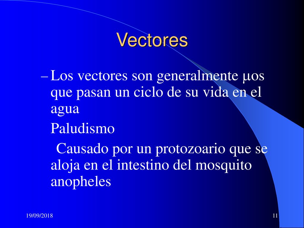 Vectores Los vectores son generalmente mos que pasan un ciclo de su vida en el agua. Paludismo.